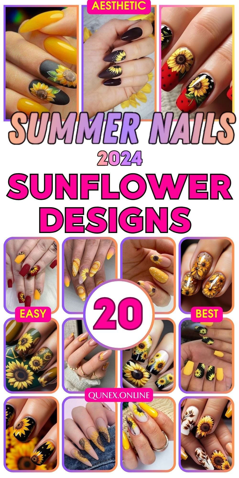 stunning summer sunflower